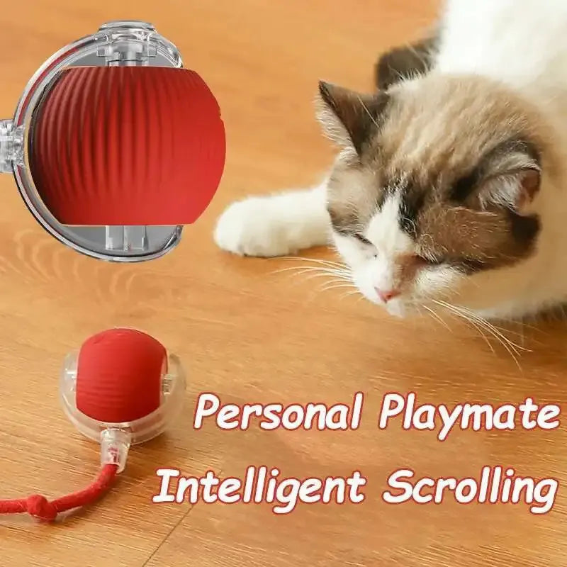 Interactive Rolling Ball Toy for Dogs and Cats - Automatic, Rechargeable, and Perfect for Training
