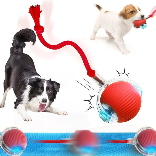 Interactive Rolling Ball Toy for Dogs and Cats - Automatic, Rechargeable, and Perfect for Training